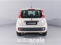 FIAT PANDA 1.3 MJT 95 CV S&S Easy