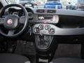 FIAT Panda 1.0 firefly hybrid s&s 70cv 5p.