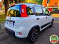 FIAT PANDA 1.0 FireFly Hybrid City Life NEOPATENTATI