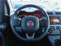 FIAT PANDA 1.0 FireFly S&S Hybrid CityLife