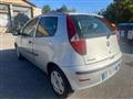 FIAT PUNTO 1.3 Multijet Neopatentati Bellissima