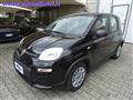 FIAT PANDA 1.0 FIREFLY 70 CV S&S HYBRID KM0