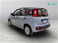 FIAT PANDA CROSS III 2021 -  1.0 firefly hybrid s&s 70cv