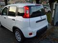 FIAT PANDA 1.0 FireFly S&S Hybrid Pandina