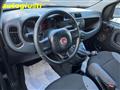 FIAT PANDA 1.2 Easy  70CV  ANCHE PER NEOPATENTATI