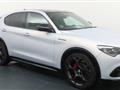 ALFA ROMEO STELVIO 2.0 Turbo 280CV AT8 Q4 Competizione Cerchi21 Tett