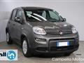 FIAT PANDA 1.0 70cv Hybrid Panda