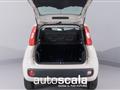 FIAT PANDA 1.3 MJT 95 CV S&S Easy