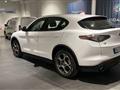 ALFA ROMEO STELVIO 2.2 Turbodiesel 210 CV AT8 Q4 Sprint