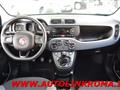 FIAT PANDA 1.2 Easy 5 posti 69CV