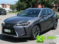 LEXUS UX Hybrid Executive