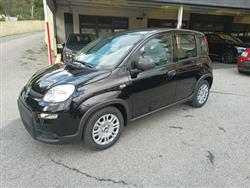 FIAT PANDA 1.0 Pandina Hybrid - KM.ZERO - PRONTA CONSEGNA