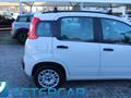 FIAT PANDA 1.2 Easy NEOPATENTATI