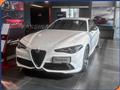 ALFA ROMEO GIULIA 2.2 Turbodiesel 210 CV AT8 AWD Q4 Tributo Italiano