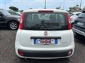 FIAT Panda 1.0 firefly hybrid City Life s&s 70cv