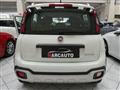 FIAT PANDA CROSS Panda Cross 1.0 FireFly S&S Hybrid