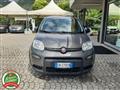 FIAT PANDA 1.0 FireFly S&S Hybrid OK NEOPATENTATI-  -