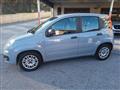 FIAT PANDA 1.2 Easy - 05/2019 - 66.600 KM. UNICOPROPRIETARIO