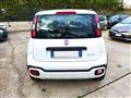 FIAT PANDA 1.0cc HYBRID CROSS 70cv CLIMA AUTO BLUETOOTH