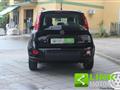 FIAT PANDA FIREFLY 1.0 70 CV S&S HYBRID SPORT