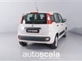 FIAT PANDA 1.3 MJT 95 CV S&S Easy