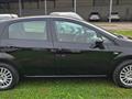 FIAT PUNTO 1.2 8V 5 porte Easypower Street - NEOPATENTATI