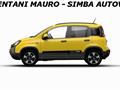 FIAT PANDA 1.0 FireFly S&S Hybrid Pandina