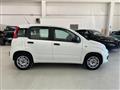 FIAT PANDA 1.3 MJT 95 CV S&S Easy