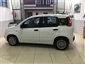 FIAT PANDA 1.0 FireFly S&S Hybrid Easy