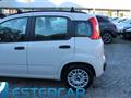 FIAT PANDA 1.2 Easy NEOPATENTATI