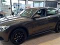 ALFA ROMEO STELVIO 2.2 Turbodiesel 190 CV AT8 Q4 Executive