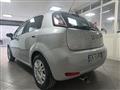 FIAT PUNTO 1.2 8V 5 porte Lounge + GPL ZAVOLI