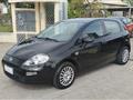 FIAT Punto 1.2 8V 5p. Lounge