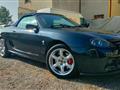 MG TF 115 1.6 16V cat LE '03 Hard Top ISCRITTA ASI