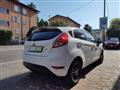 FORD FIESTA black and white