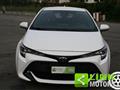 TOYOTA COROLLA 1.8 Hybrid Business