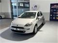 FIAT PUNTO 1.2 8V 5 porte Lounge