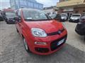 FIAT PANDA 1.0 FireFly S&S Hybrid Eas 5 posti no obbligo fina