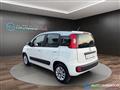 FIAT PANDA 1.2 69CV Lounge NEO PATENTATI