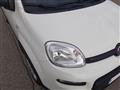 FIAT PANDA PROMO FINANZIAMENTO 1.0 FireFly S&S Hybrid