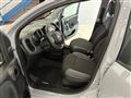 FIAT PANDA 1.2 Easy ADATTA NEOPATENTATI