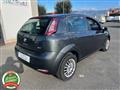 FIAT PUNTO 1.2 8V 5 porte Lounge - PER NEOPATENTATO -