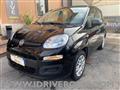 FIAT PANDA 1.2 Easy + GPL