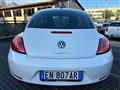 VOLKSWAGEN MAGGIOLINO 1.6 TDI 105CV UNIPRO GARANZIA