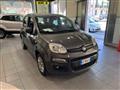 FIAT PANDA 1.2 Lounge 11.900