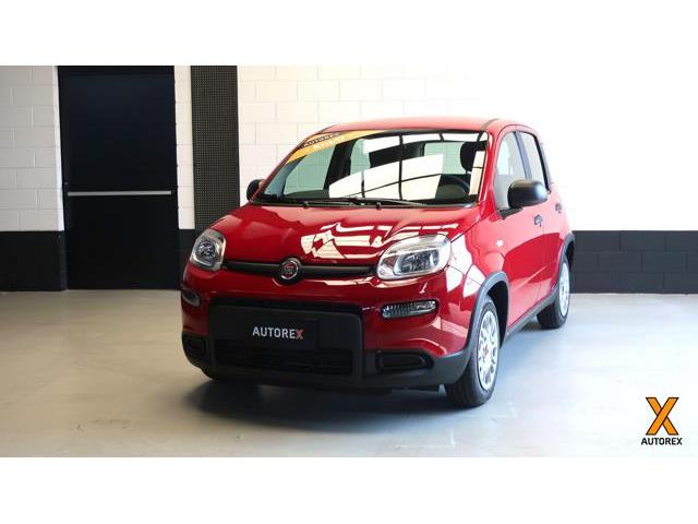 FIAT PANDA 1.0 FireFly S&S Hybrid per neopatentati