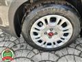 FIAT PANDA 1.0 FireFly S&S Hybrid OK NEOPATENTATI-  -