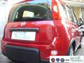 FIAT PANDA 1.0 FireFly S&S Hybrid Pandina Urban Radio Km 0