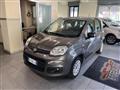 FIAT PANDA 1.2 Lounge 11.900