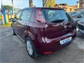 FIAT PUNTO 1.2 8V 5 porte Lounge - NEOPATENTATI